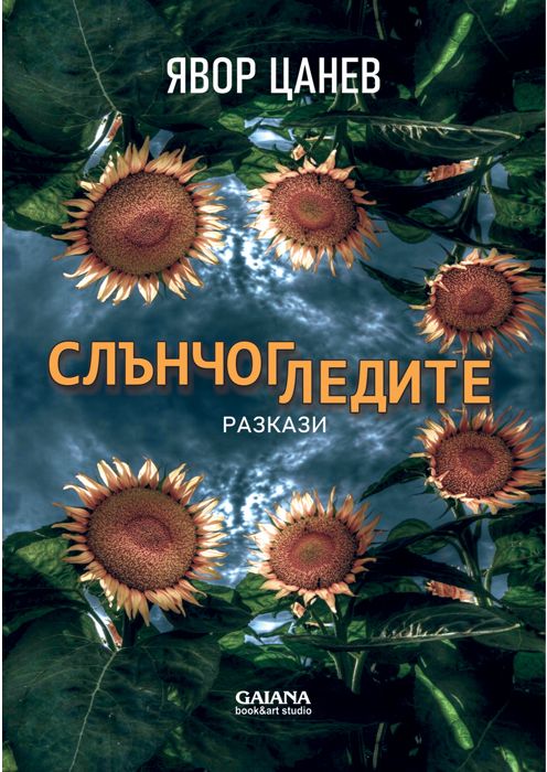 Слънчогледите